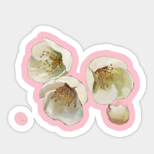 Watercolor Painting of Three White Flowers with Yellow and Green Centers, Accompanied by Two Smaller Buds Sticker